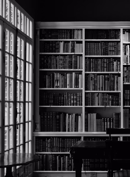 Rows of legal volumes in a law library